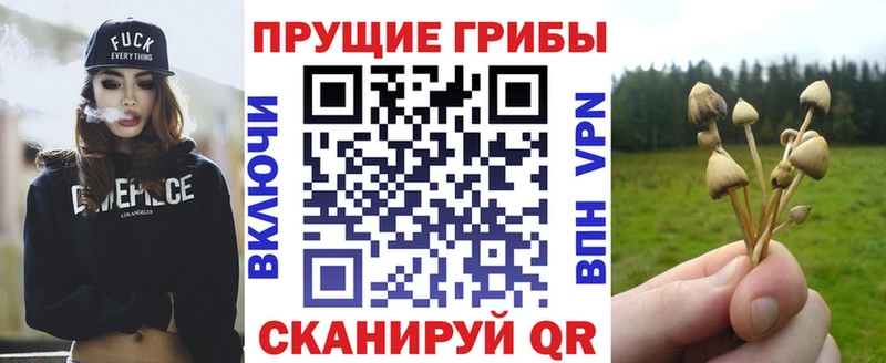 Галлюциногенные грибы Psilocybine cubensis  что такое наркотик  Урай 